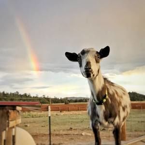 Meet your Posher, Kathryn